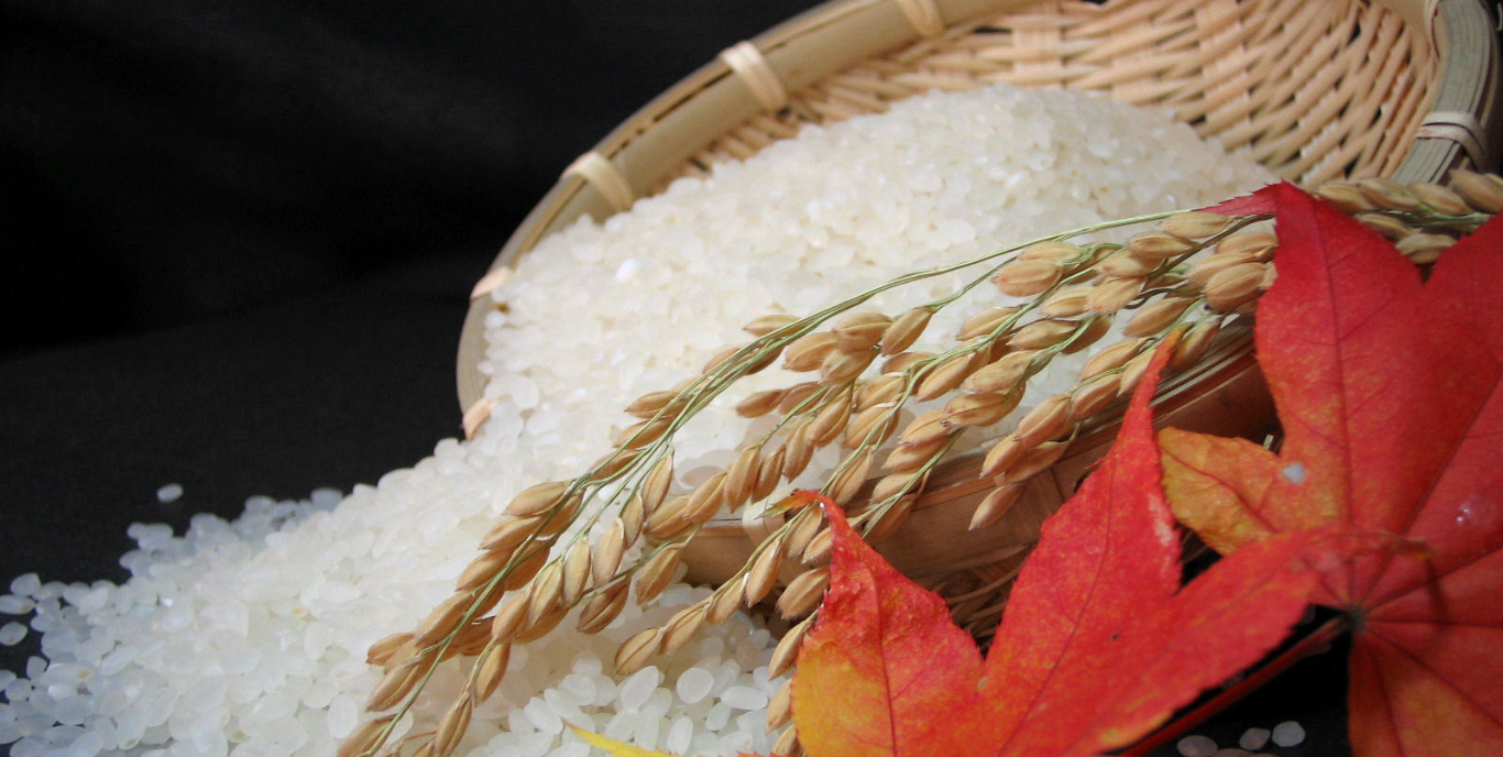 蒼空農家の五郎兵衛米