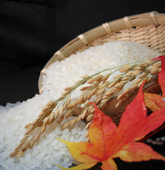 蒼空農家の五郎兵衛米